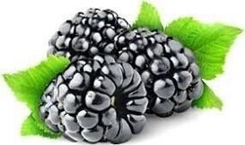 berries and fruits for pancreatitis