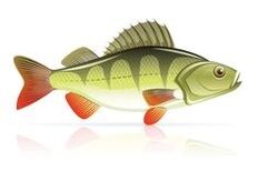 seafood for pancreatitis